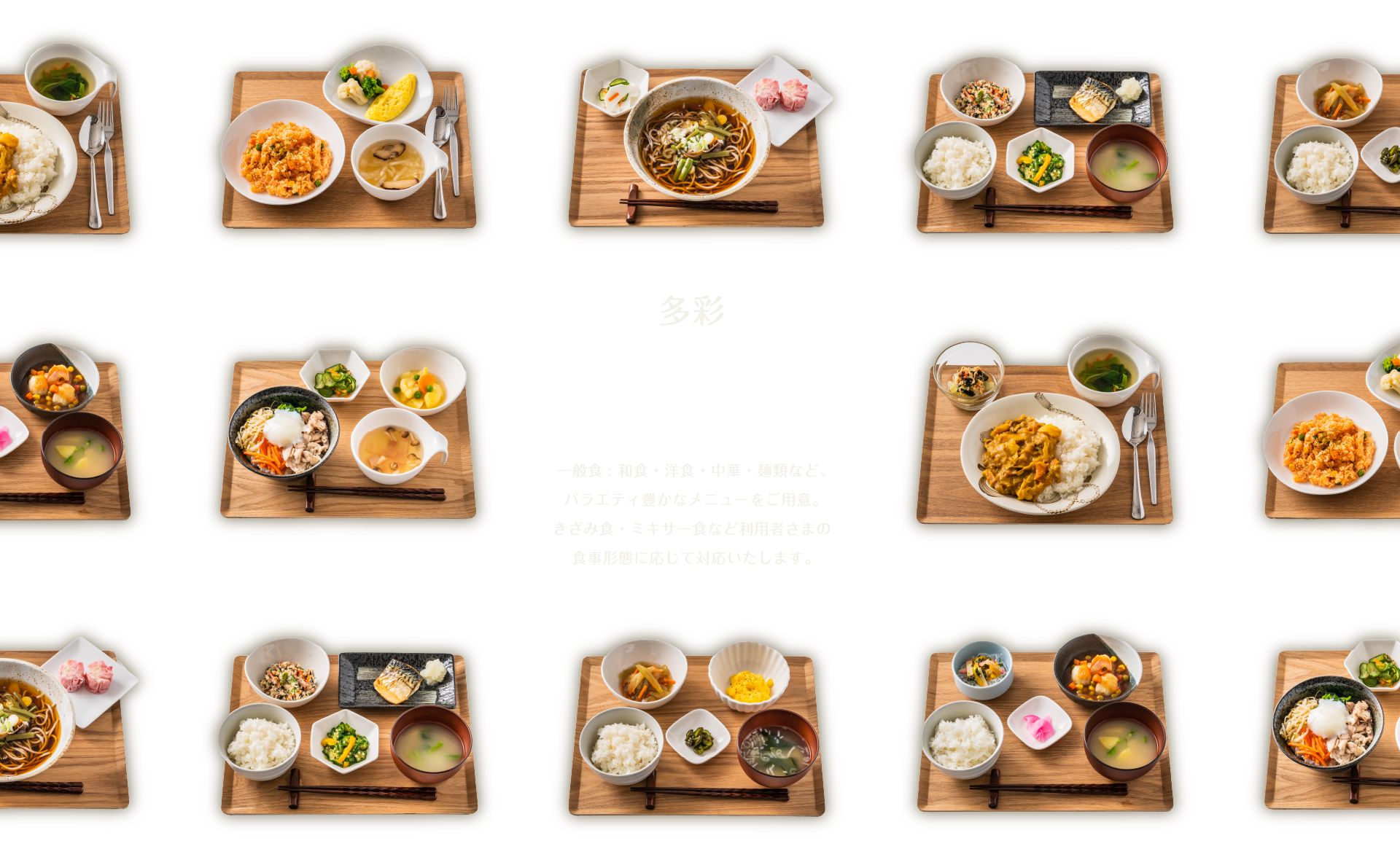 多彩 menu 一般食: 和食・洋食・中華・麺類など、バラエティ豊かなメニューをご用意。きざみ食・ミキサー食など利用者さまの食事形態に応じて対応いたします。